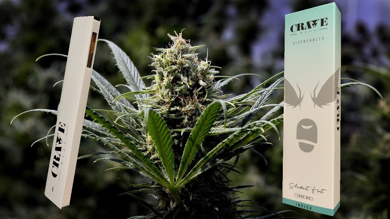 CraveMeds Disposable - Sherbert Frost - Indica