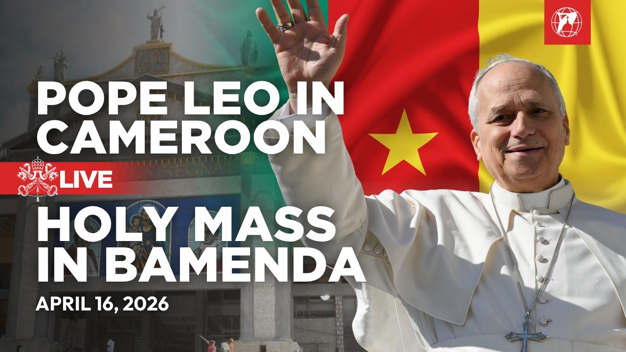 LIVE | Pope Leo XIV in Cameroon | Holy Mass in Bamenda | 17 April 2026