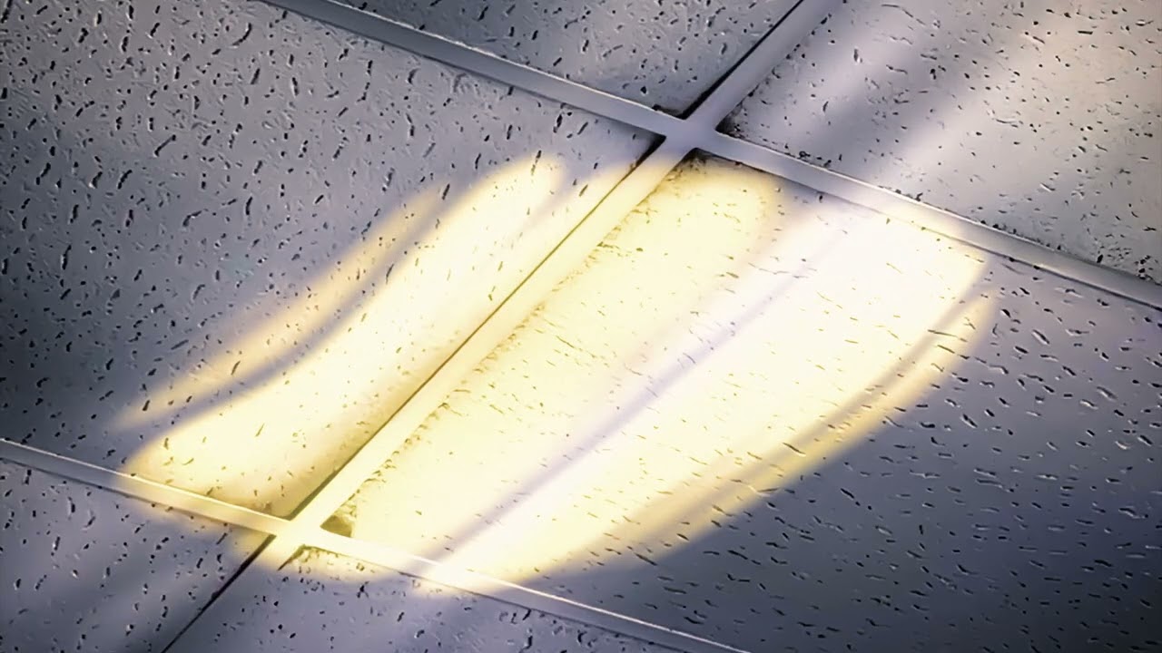 Skeleten - The Shape Behind My Eyes