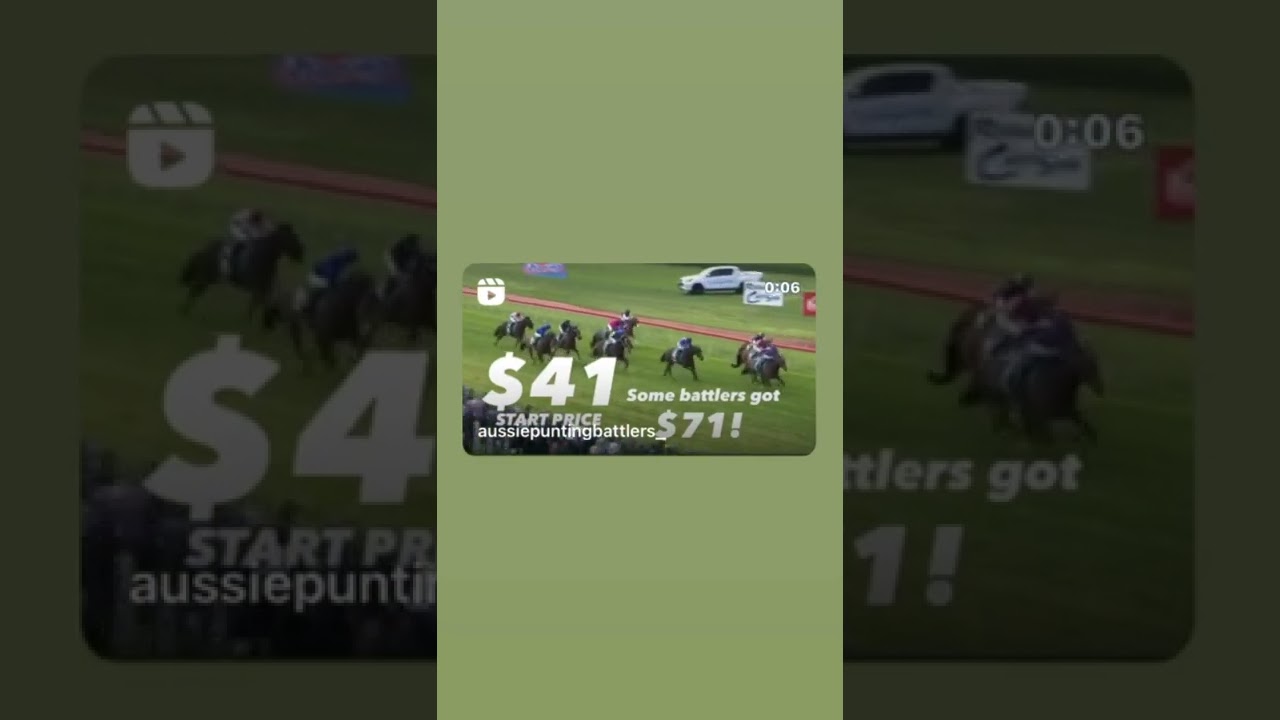 Roughie horse winner