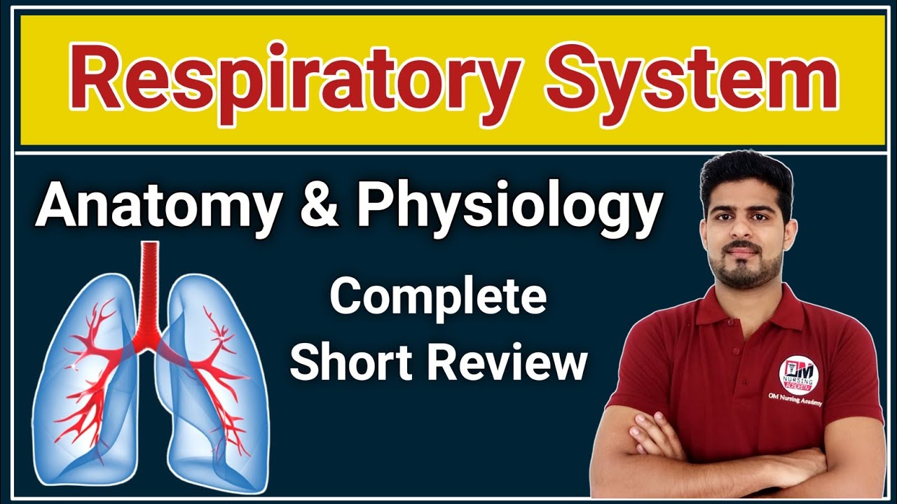 Respiratory system Basics | Anatomy and Physiology short Review