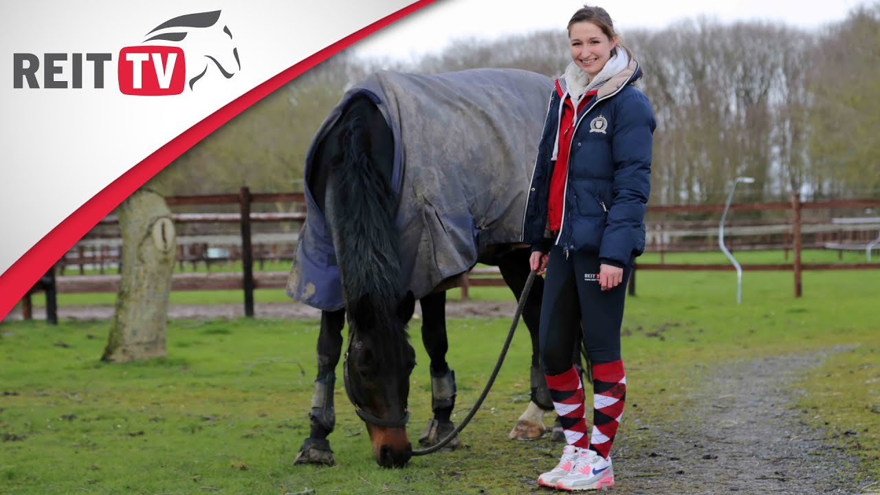 Homestory | Zu Besuch bei REITTV-Teamreiterin Saskia Schneppenheim