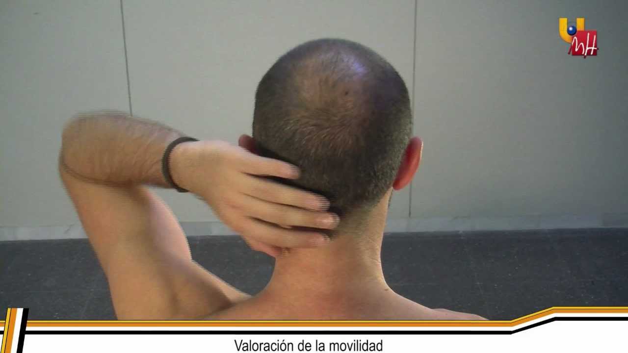 Fisioterapia UMH: Músculo infraespinoso