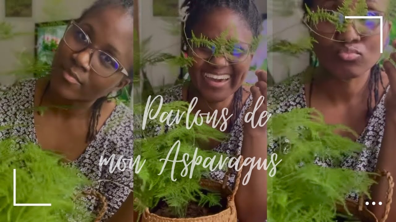 Parlons de mon Asparagus | Sa croissance extraordinaire ✨