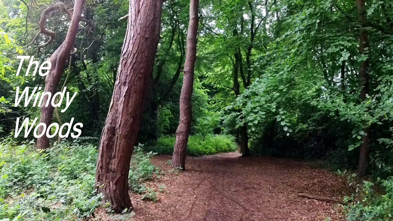 Wood-E .. Homemade Mobility Scooter - Windy Woods