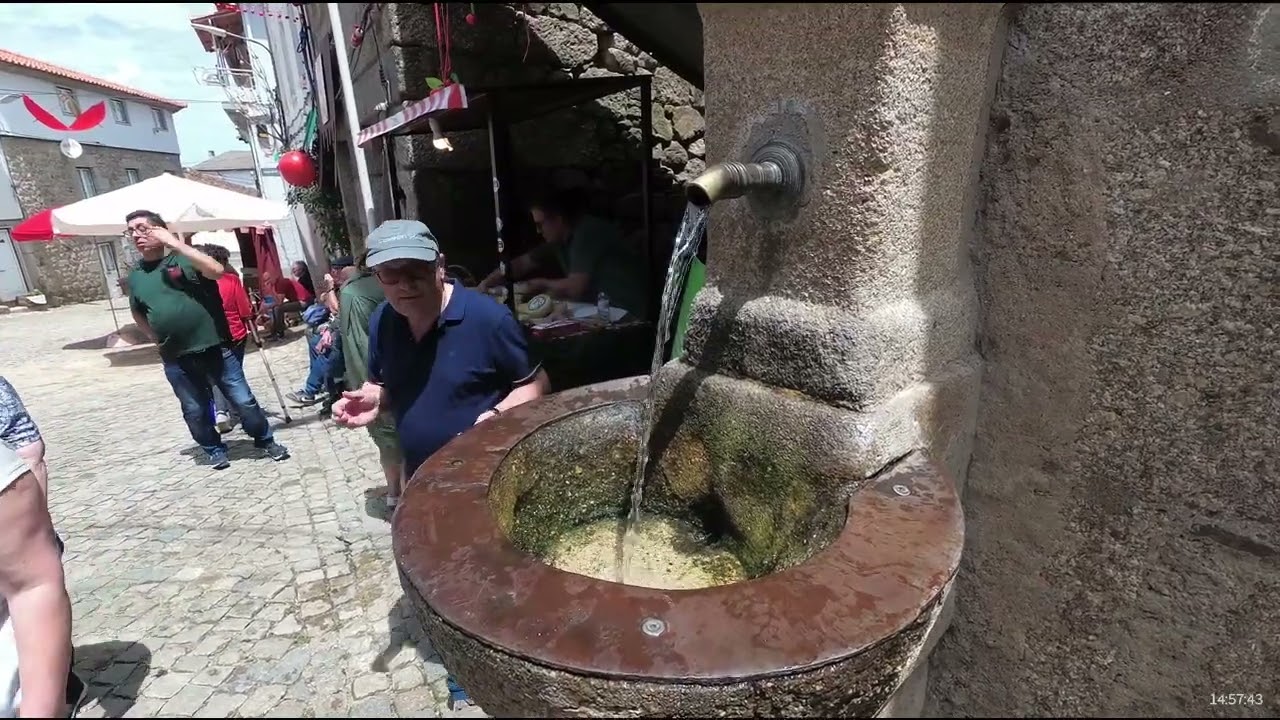 Festa da Cereja - Alcongosta  -  Fundão