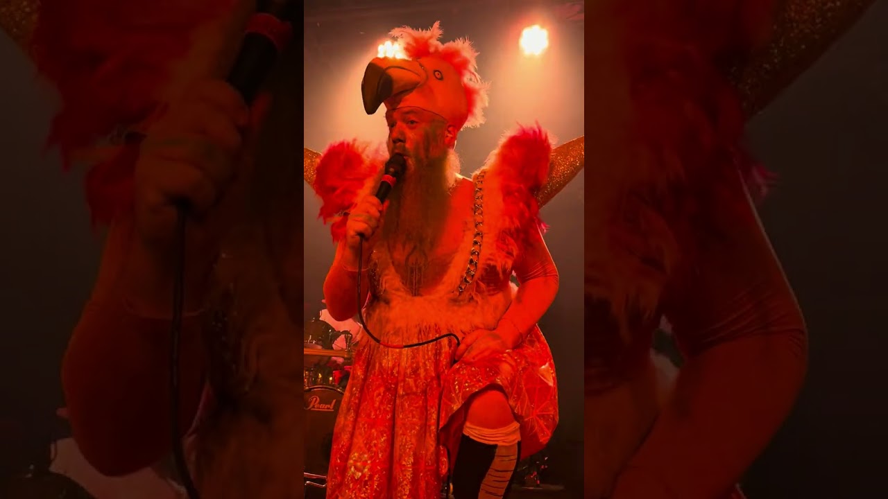 TrollfesT - All Drinks On Me (live at the Overflow Brewery in Ottawa, ON on March 2nd, 2025)