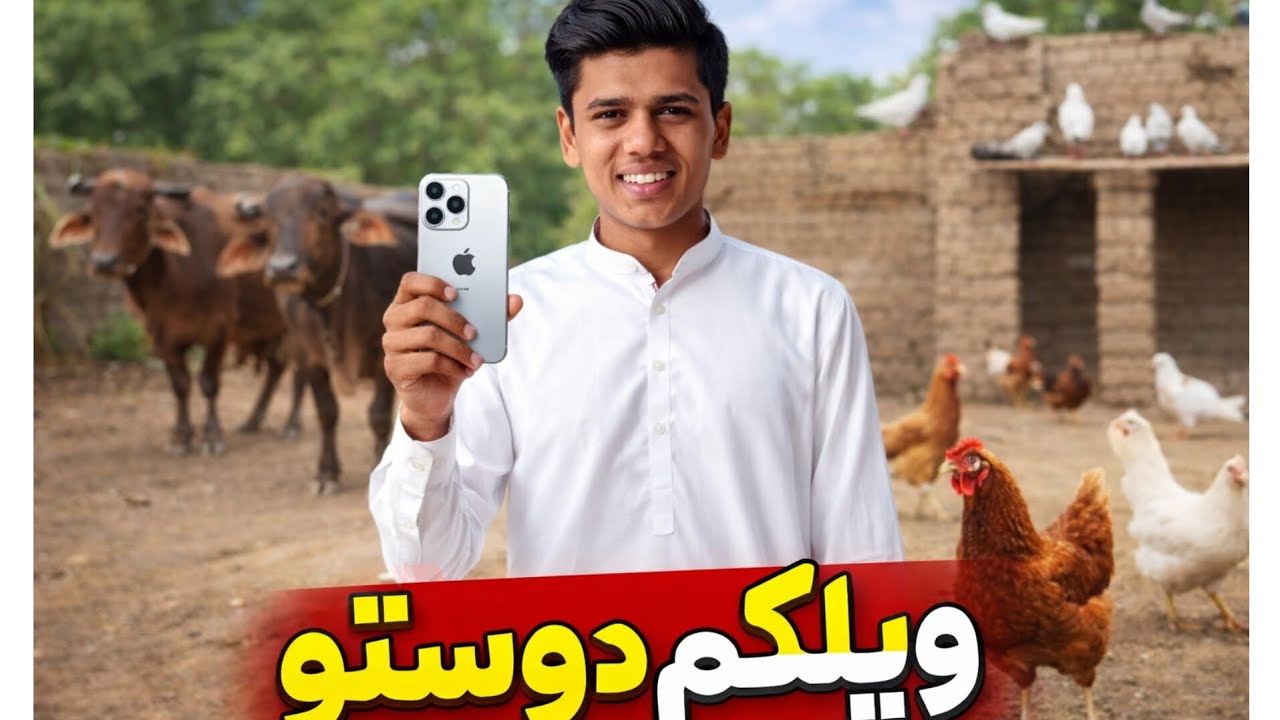 New vlogs AbdullahJatt. Murgiyan aur kabutar and cow