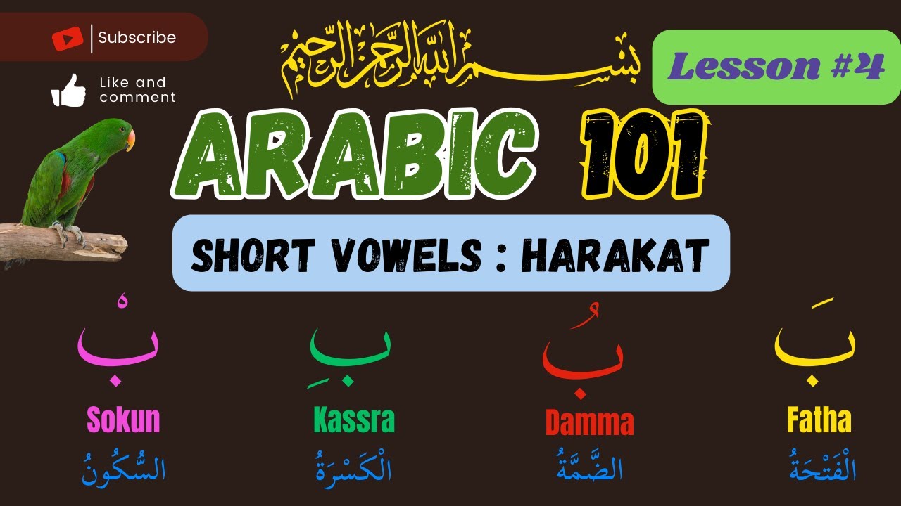 How to Master Diacritics in the Arabic Language for Accurate Pronunciation.