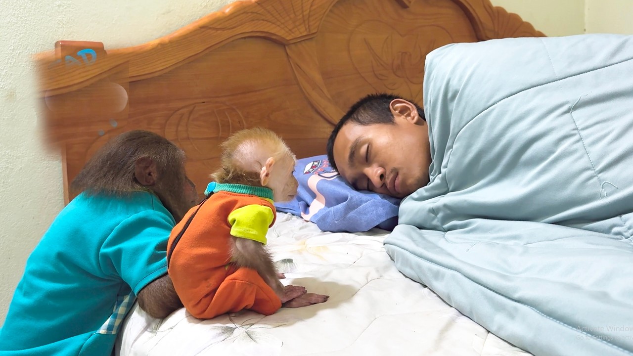 CUTIS and BUEM Gently Care for Dad Sick