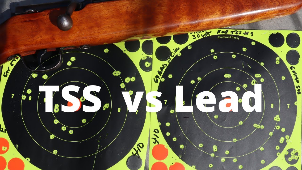 TSS vs Lead Range Test  410 Shotgun -  TSS good for Small Game ???