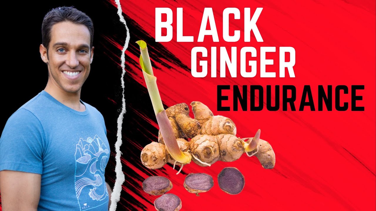 Research on Thai Black Ginger Endurance Benefits