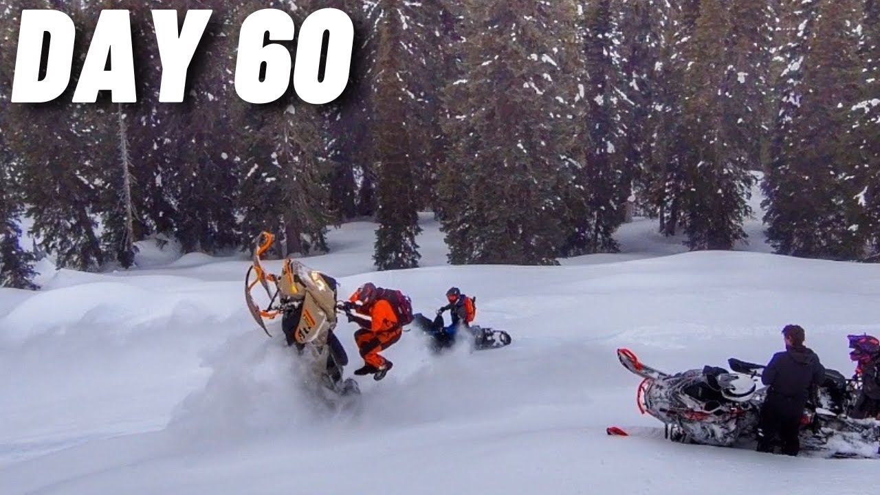 Taking A Stranger Treeriding