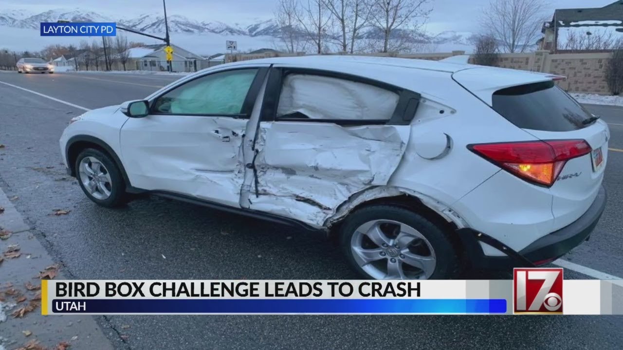 Teen girl crashes during 'Bird Box Challenge' while driving