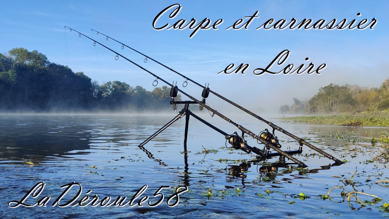 Je pêche la carpe et le carnassier en Loire simultanément.
