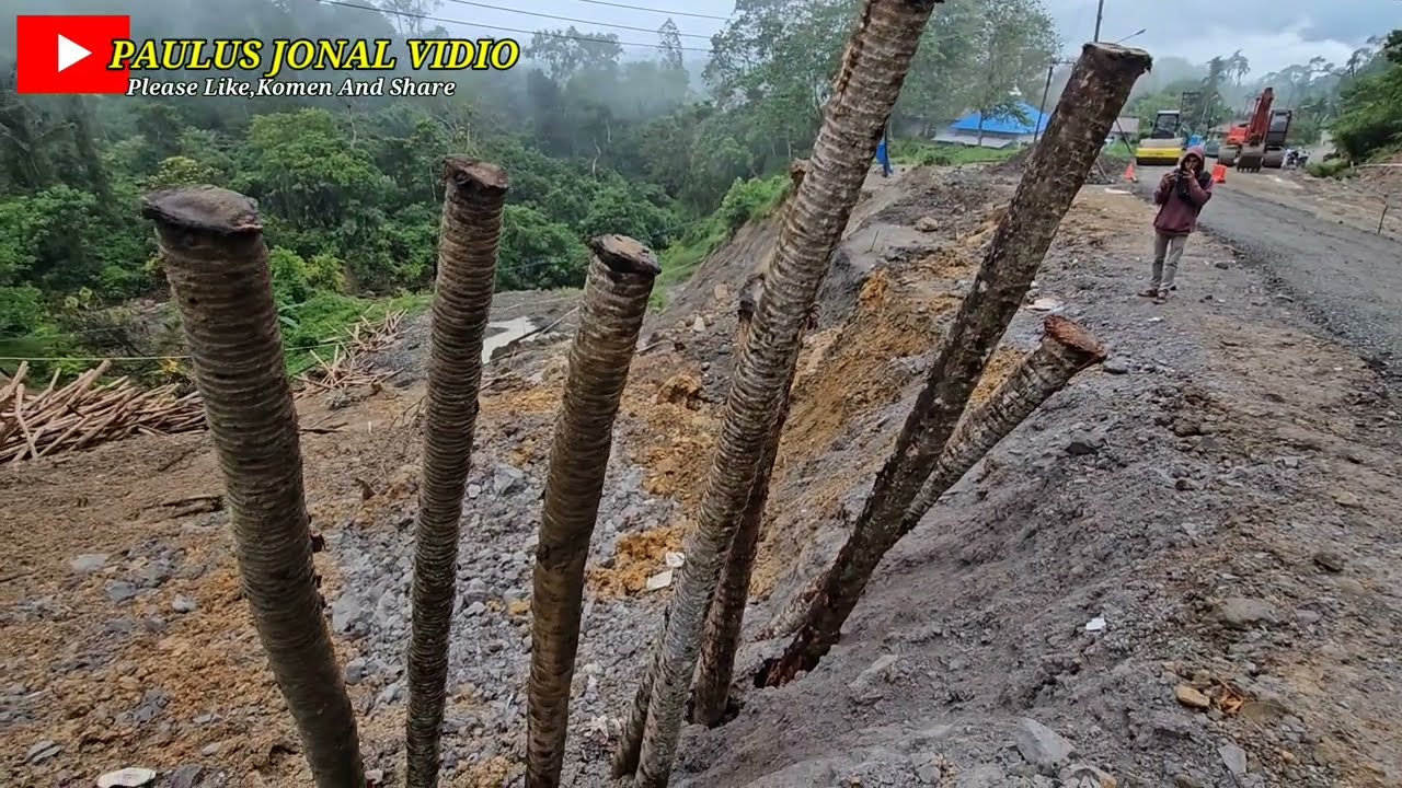 Aneh Tapi Nyata || Kondisi Paku Bumi Dari Batang Kelapa Di Jurang Batu Jomba