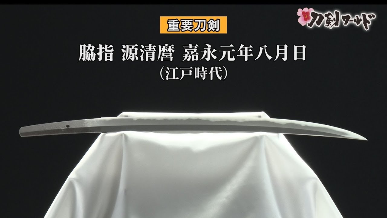 【刀剣ワールド】「脇差 源清麿」重要刀剣｜日本刀 YouTube動画