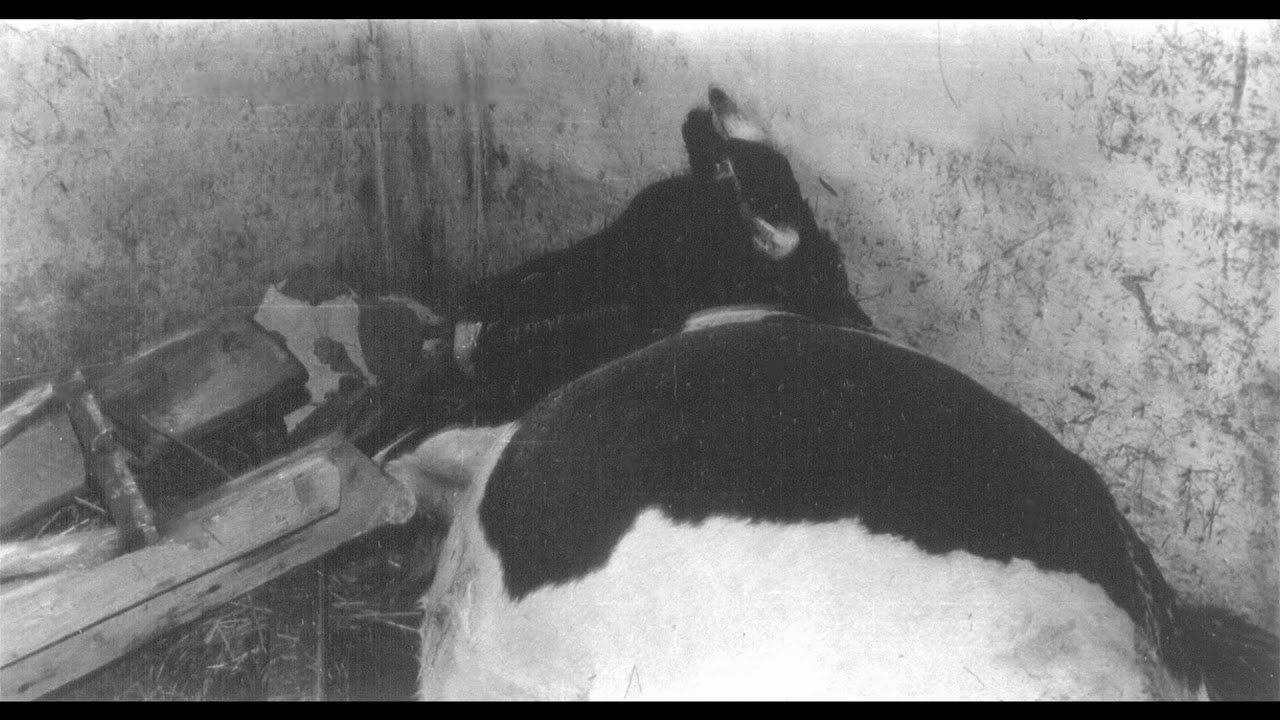 Sturmflut 1962
