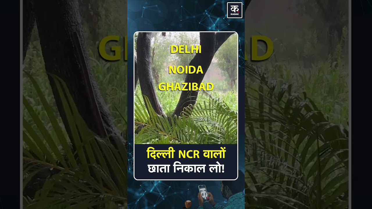 Weather Alert: Heavy Rain in Delhi for Next 6 Days | Delhi Rain #shorts