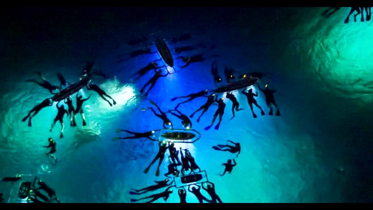 Under Hawaiian Stars: Hoku Nui Manta Ray Night Snorkel Adventure