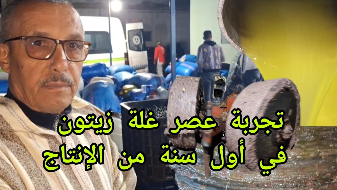 أجي نشاركوا معكم تجربة عصر حبات زيتون في أول سنة من الإنتاج بمعصرة البركة بعين كرمة واد الرمان_مكناس