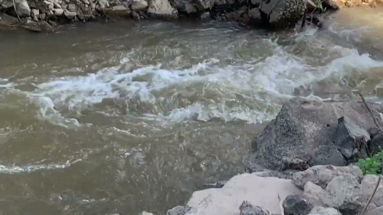 Calming Water Sounds to Help You Sleep and Ease Sadness