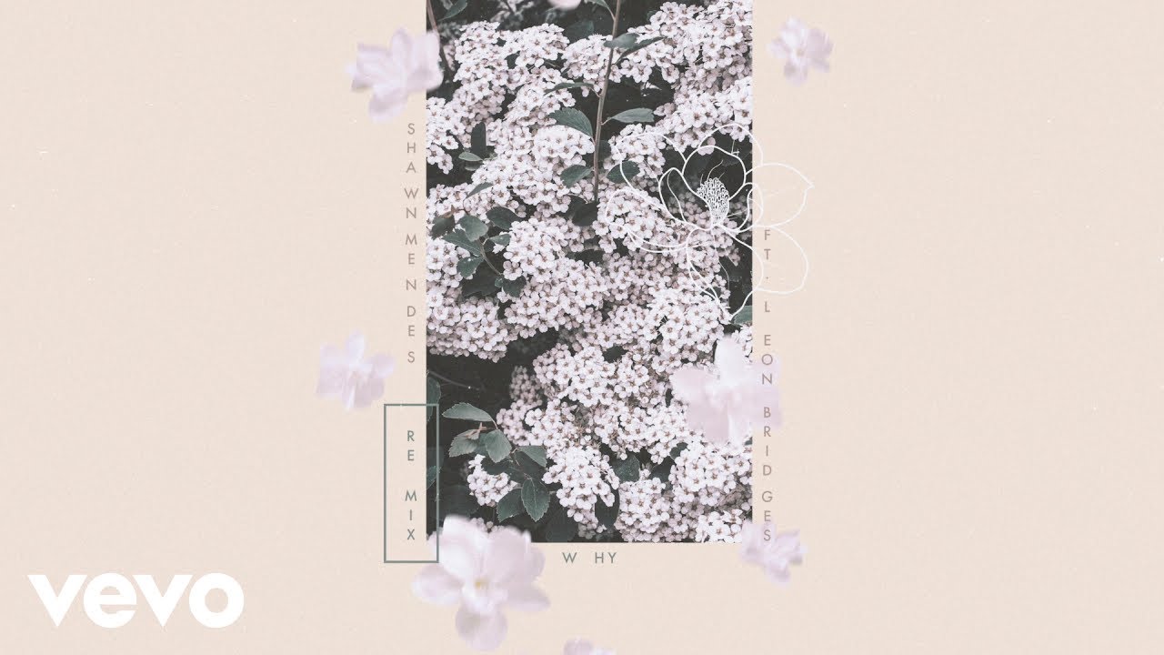 Shawn Mendes - Why (Remix - Official Audio) ft. Leon Bridges
