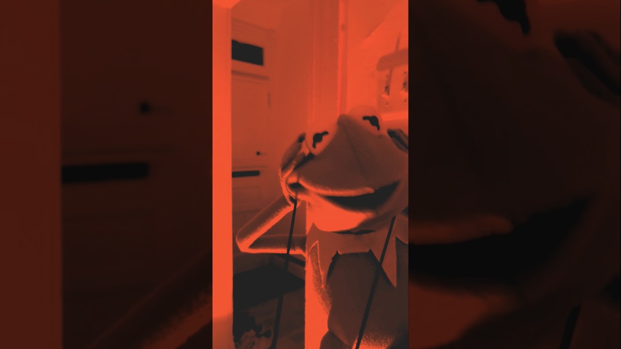 Do you think puppets are self-aware? #kermit #muppets #diy