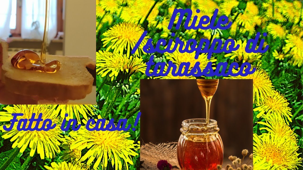 Miele /sciroppo di tarassaco fatto in casa 🏡 🍯