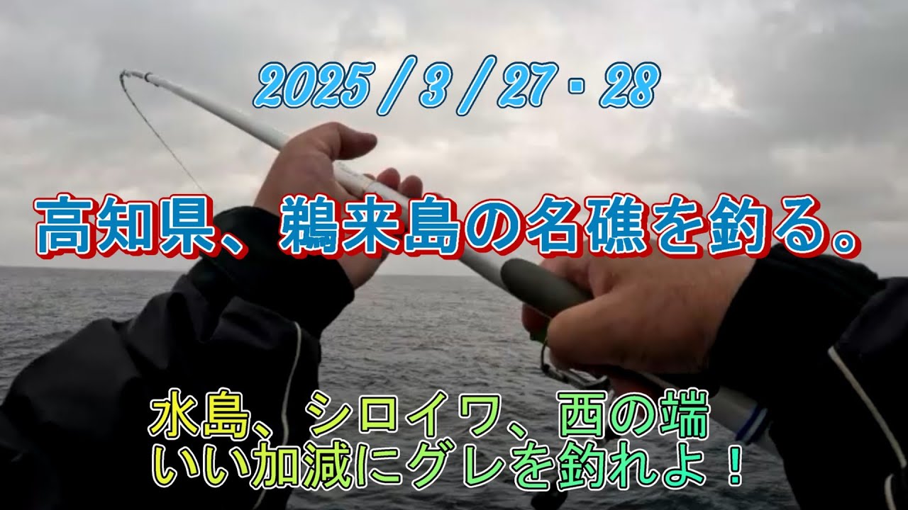 鵜来島の名礁を釣りまくったが、グレが～～～釣れん。