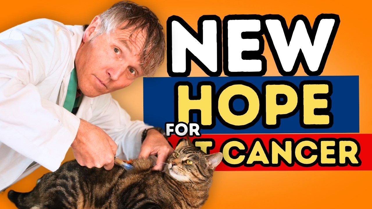 Feline Cancer: New Treatment Breakthrough + Holistic Support