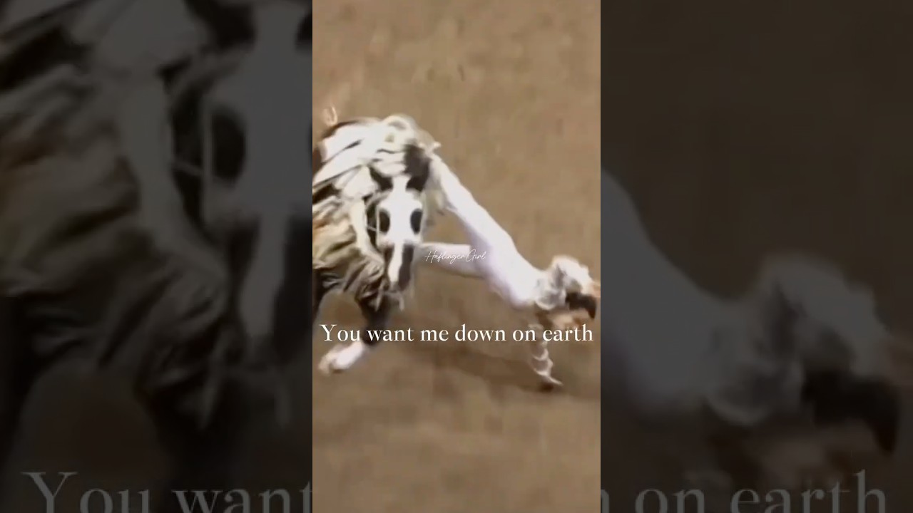 Trick Riding VS Vaulting🧡|| #horse #equestrian #vaulting  #edit #horseedit #shorts #trickriding