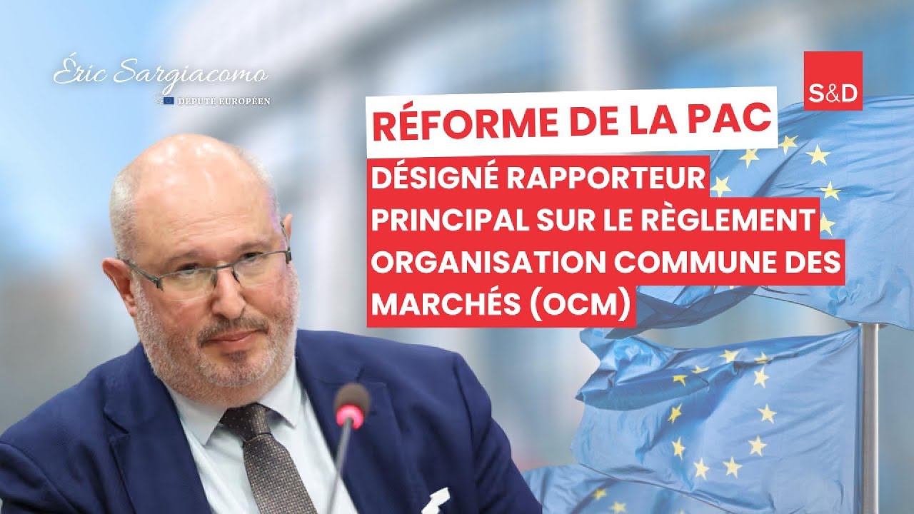 𝗡𝗼𝗺𝗺𝗲́ 𝗿𝗮𝗽𝗽𝗼𝗿𝘁𝗲𝘂𝗿 𝗽𝗿𝗶𝗻𝗰𝗶𝗽𝗮𝗹 𝘀𝘂𝗿 𝗹𝗲 𝗿𝗲̀𝗴𝗹𝗲𝗺𝗲𝗻𝘁 𝗢𝗿𝗴𝗮𝗻𝗶𝘀𝗮𝘁𝗶𝗼𝗻 𝗖𝗼𝗺𝗺𝘂𝗻𝗲 𝗱𝗲𝘀 𝗠𝗮𝗿𝗰𝗵𝗲́𝘀 (𝗢𝗖𝗠)