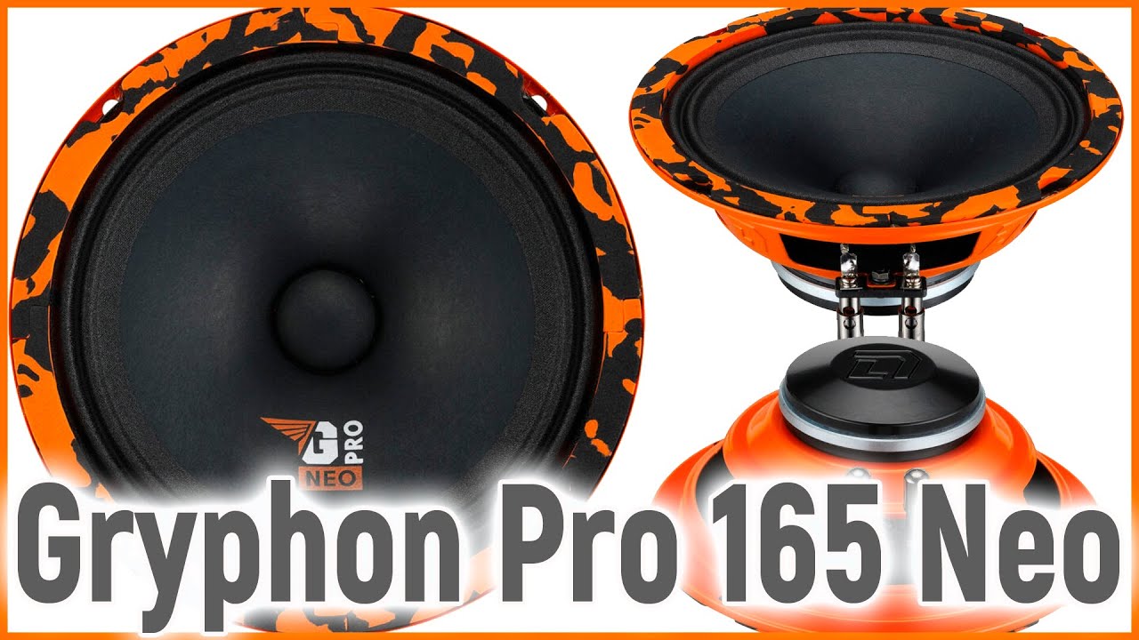 DL Audio Gryphon Pro 165 Neo, громко, широко, бюджетно, обзор и прослушка