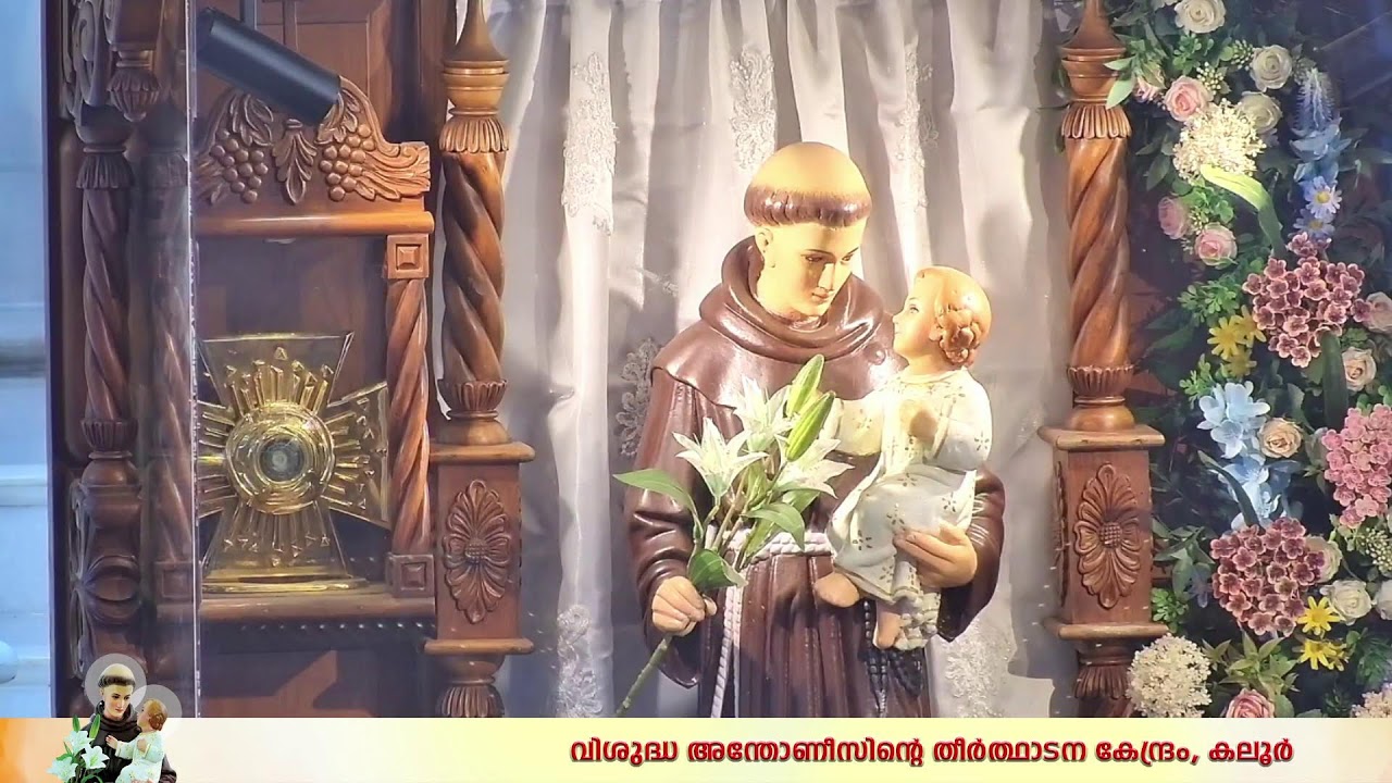 ദിവ്യബലി | 06.30AM | 02 FEBRUARY 2026 | MONDAY | കലൂർ വി.അന്തോണീസിൻ്റെ  തീർത്ഥാടന കേന്ദ്രം