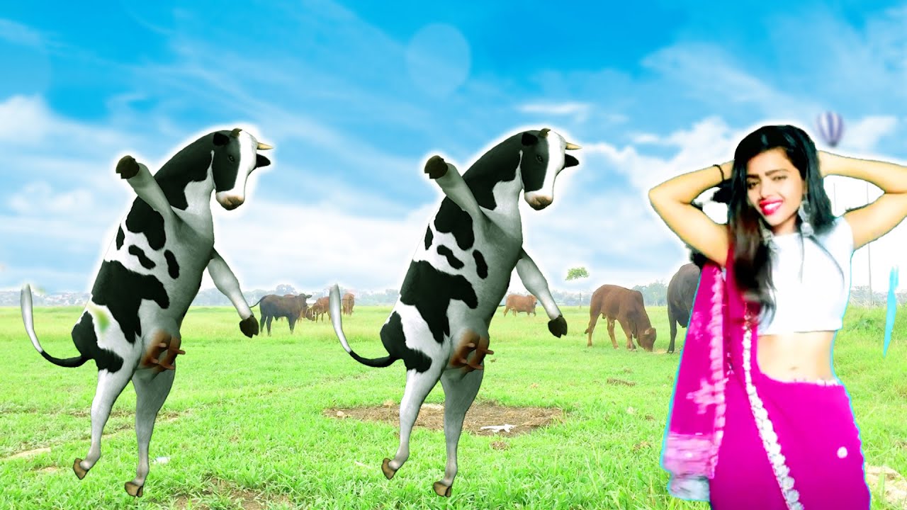 Funny Cow Girl Dancing - Cow dance in nepali song - Cow Girl