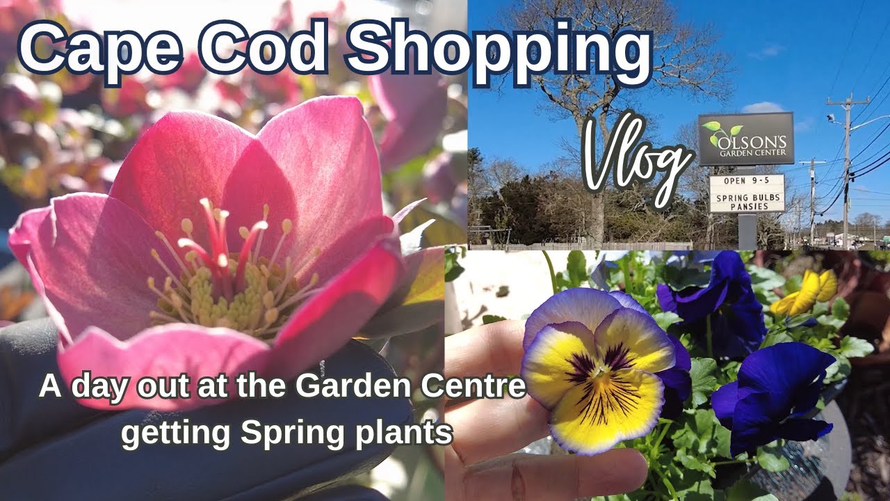 Shop with me Garden Centre Cape Cod | Getting Spring Flowers | #garden