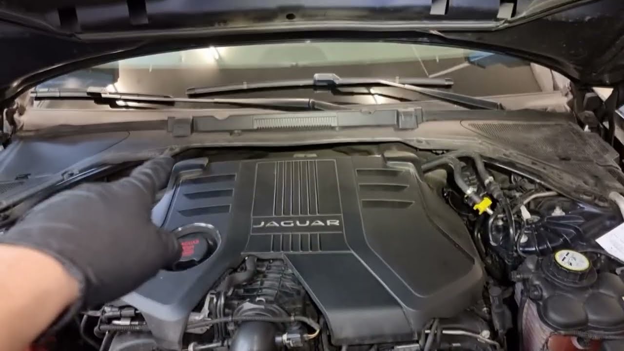 JAGUAR XF (X260) 3.0d V6 (300 KM) (DZIKI CHALLENGE)