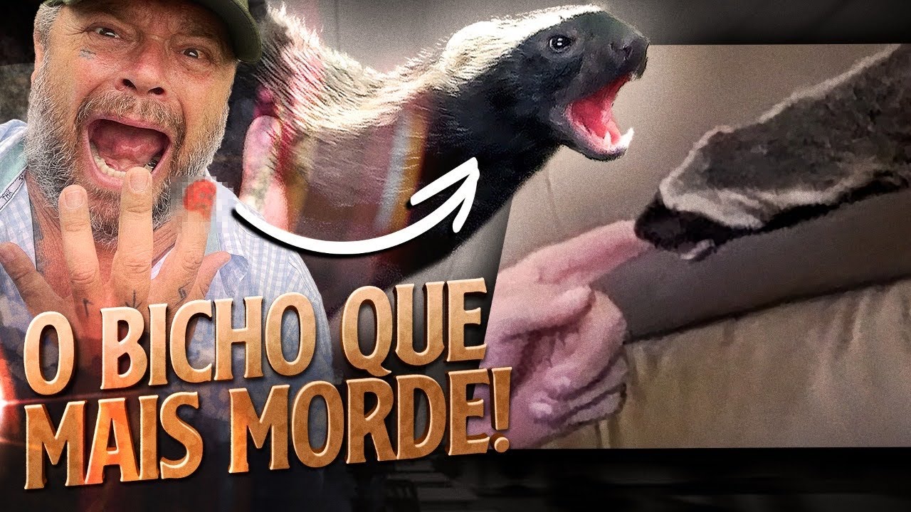 FURÃO, O PEQUENO QUE MORDE MUITO! | RICHARD RASMUSSEN