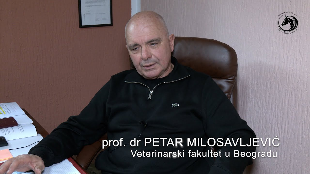 Profesor Pero Banka život posvetio nauci i liječenju konja -