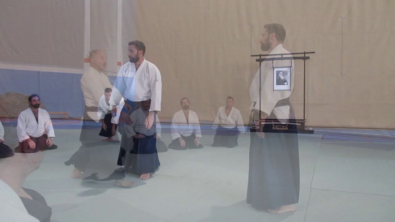 Aikido. Luís Mochón. Summer Camp 2019. Shomen uchi jiju waza