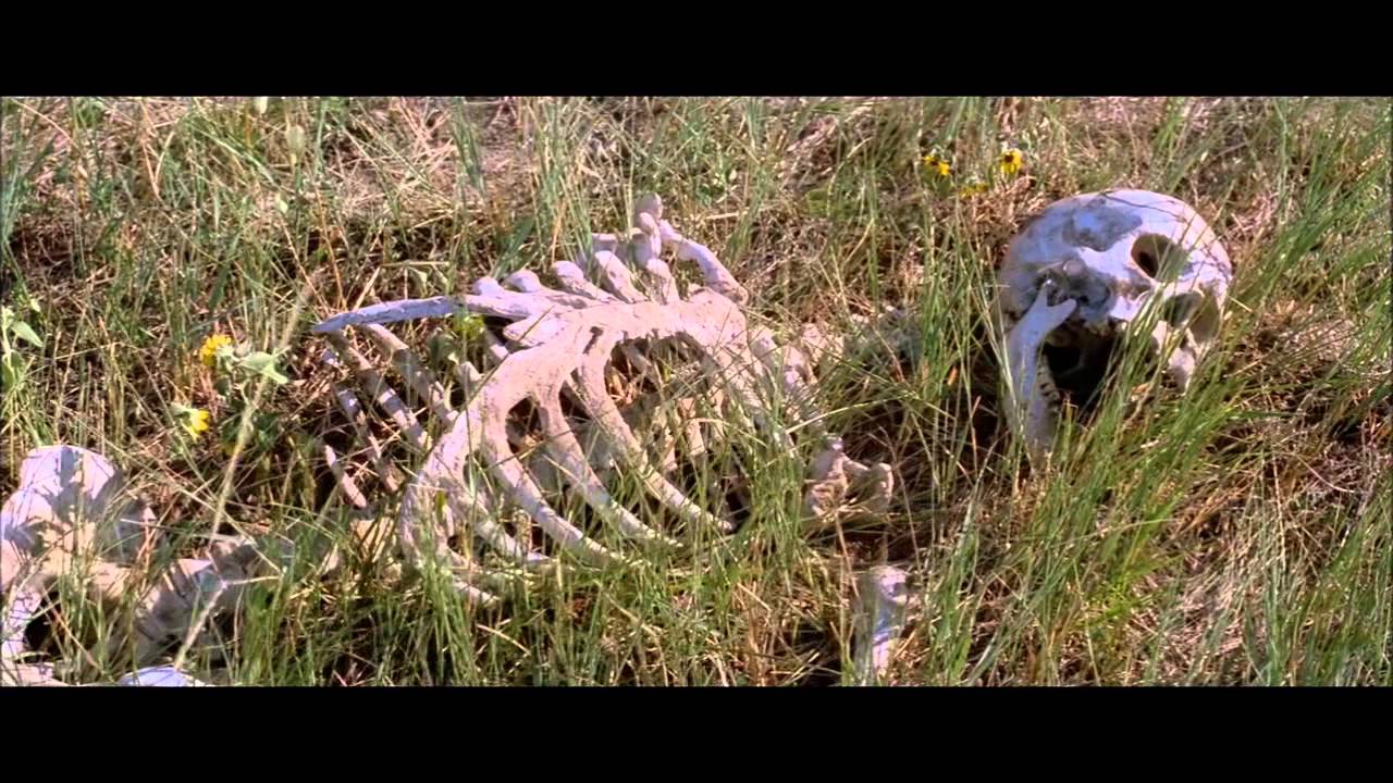 Why Don't He Write? (Director's Cut)