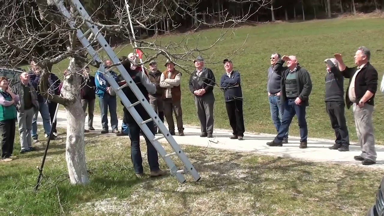Obrezovanje pri Sp  Strmčniku