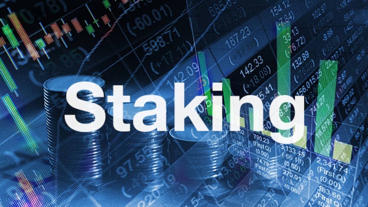 Nejzaj&iacute;mavěj&scaron;&iacute; možnosti stakingu kryptoměn | Crypto Kingdom CZ