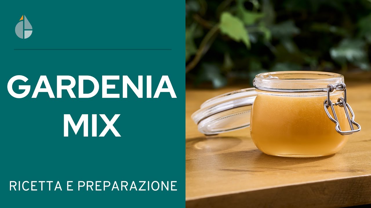GARDENIA MIX, il famoso BATTER della Miscelazione TIKI | Cocktail Engineering