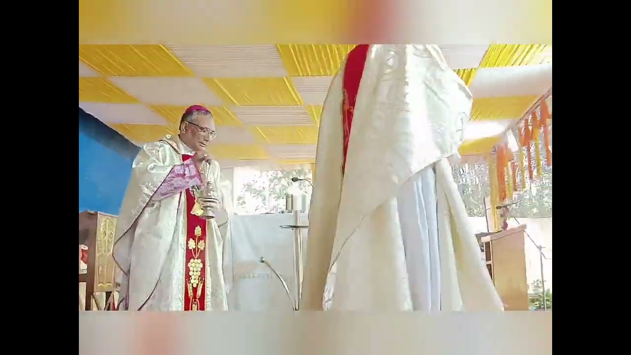 Priestley Ordination - Fr. Bimal Topno MSFS