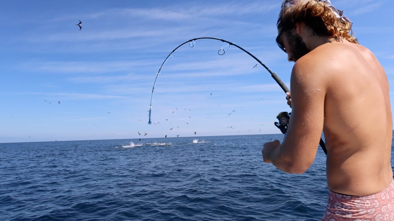 Insane Topwater Fishing in MEXICO (catch clean cook)