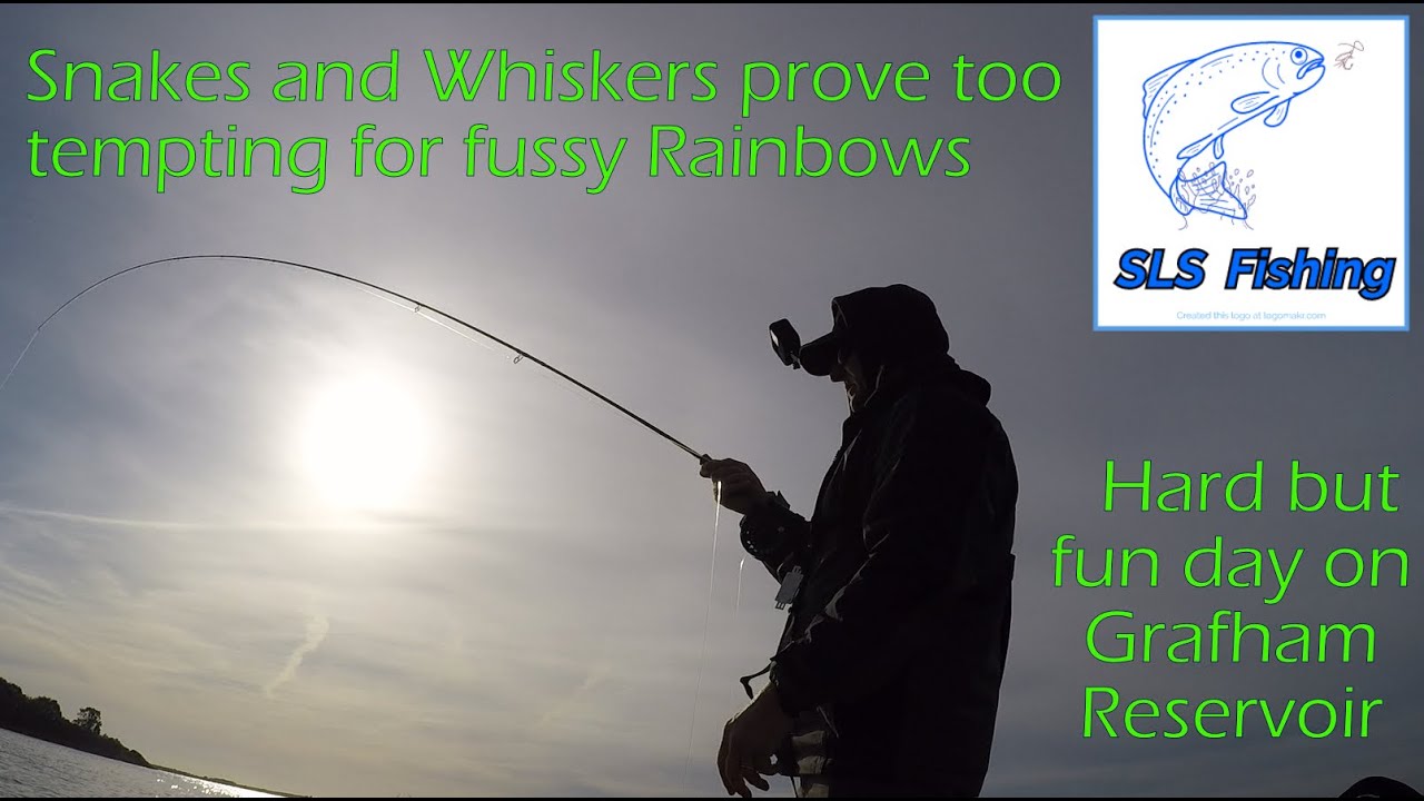 Snakes and Whiskers prove too tempting for fussy Rainbow trout.
