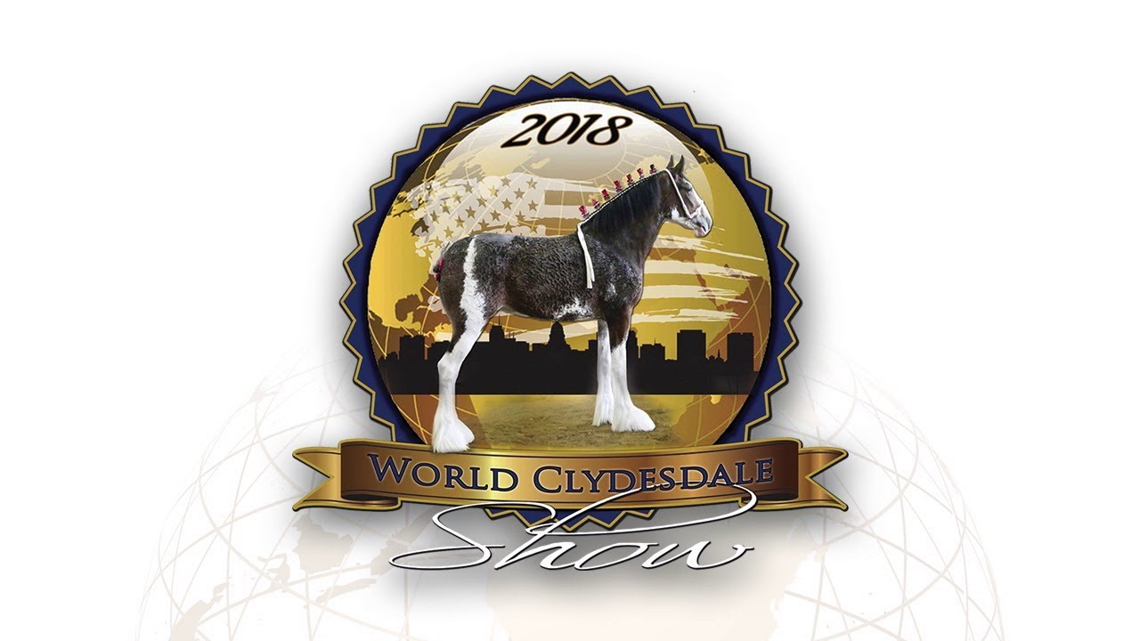 8 Horse Hitch Championship 2018