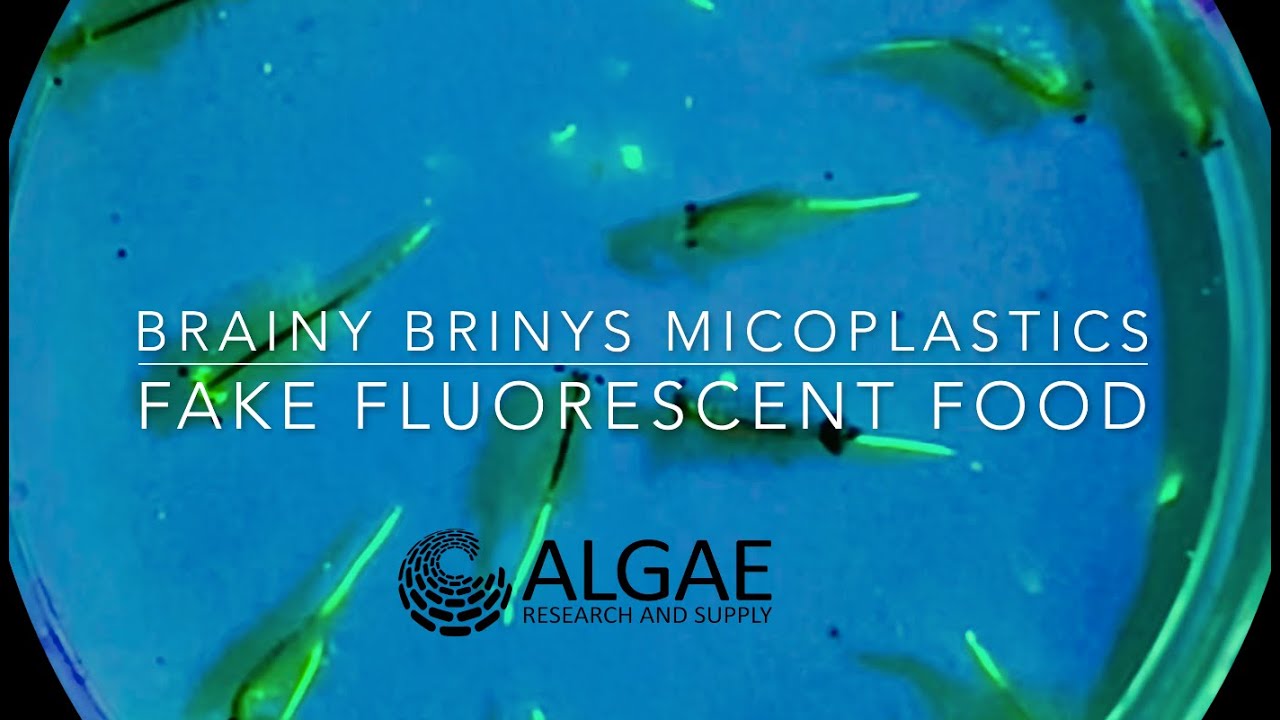 Brainy Briny Microplastics:  Fake Fluorescent Food   4K